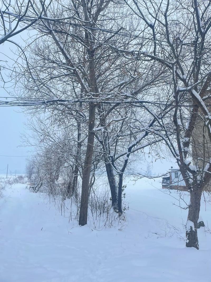 下雪影响春节出行 - 下雪影响开车吗-第1张图片-微云百科 下雪影响春节出行 - 下雪影响开车吗-第1张图片-微云百科