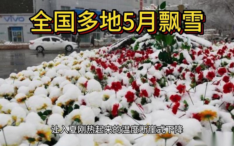下雪天绿色出行,下雪天出行的温馨提醒-第8张图片-微云百科 下雪天绿色出行,下雪天出行的温馨提醒-第8张图片-微云百科