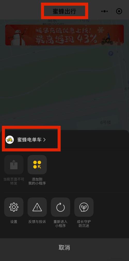下雨骑蜜蜂出行 - 下雨天蜜蜂出去干什么呢-第6张图片-微云百科