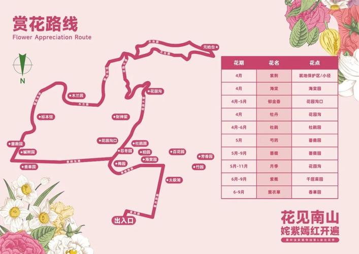 西安清明节出行要求 - 清明去西安要隔离吗-第2张图片-微云百科 西安清明节出行要求 - 清明去西安要隔离吗-第2张图片-微云百科