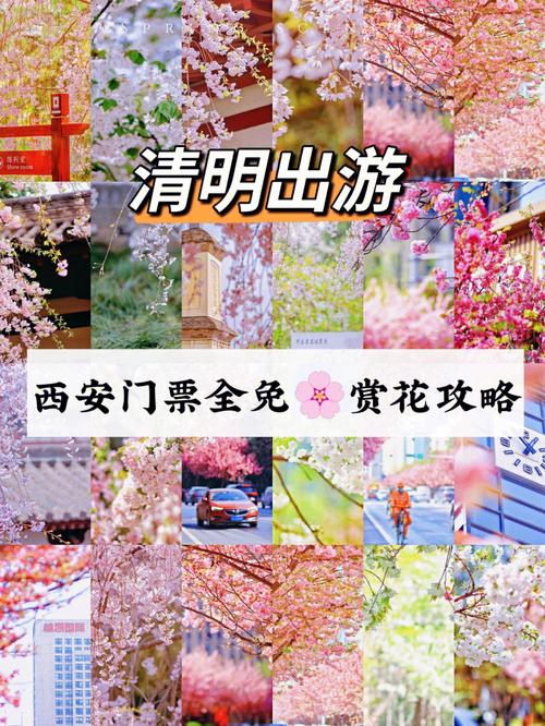 西安清明节出行要求 - 清明去西安要隔离吗-第4张图片-微云百科 西安清明节出行要求 - 清明去西安要隔离吗-第4张图片-微云百科