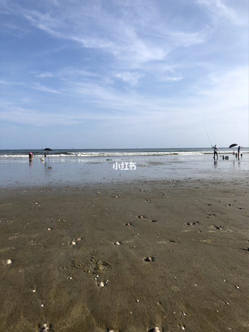 阳西天气，墨迹天气正版下载 免费-第2张图片-微云百科