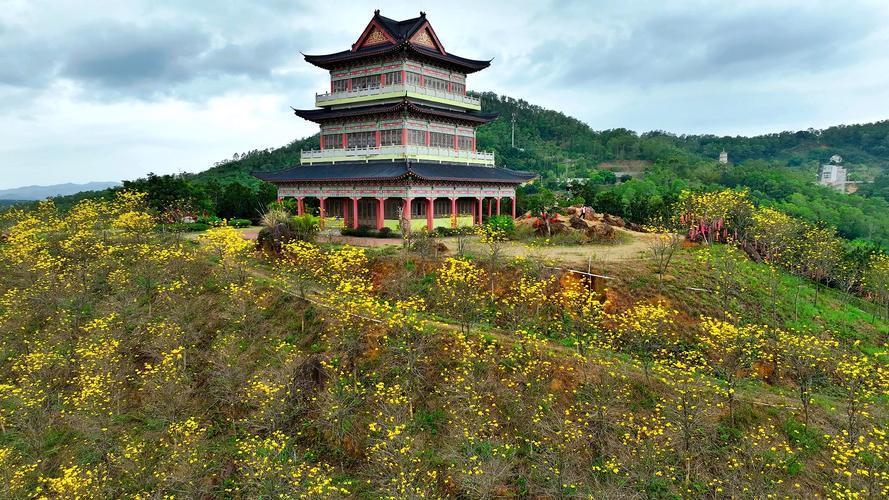 阳西天气，墨迹天气正版下载 免费-第8张图片-微云百科