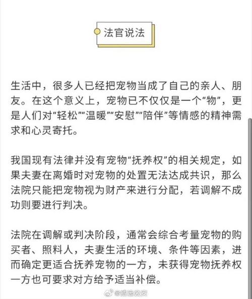 西班牙出行可以遛狗吗 - 西班牙出行方式-第4张图片-微云百科