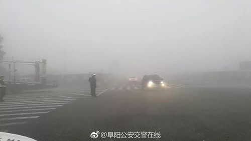 桐城天气 - 桐城天气30天预报-第6张图片-微云百科 桐城天气 - 桐城天气30天预报-第6张图片-微云百科