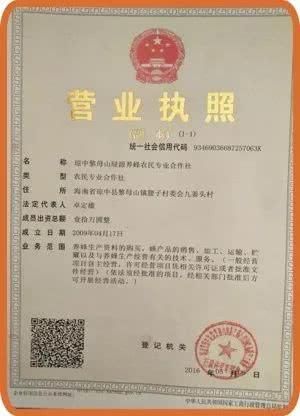 西园街道出行证明，出行证明怎么弄-第4张图片-微云百科