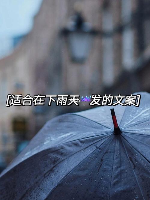 下雨出行奋斗文案 - 下雨天出行的句子适合发朋友圈-第6张图片-微云百科