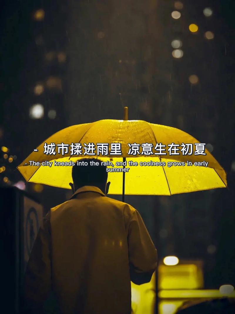 下雨出行奋斗文案 - 下雨天出行的句子适合发朋友圈-第7张图片-微云百科