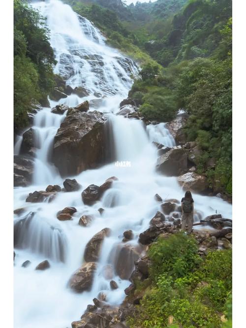 云南昆明旅游景点攻略(昆明旅游景点攻略必去的景点)-第1张图片-微云百科 云南昆明旅游景点攻略(昆明旅游景点攻略必去的景点)-第1张图片-微云百科
