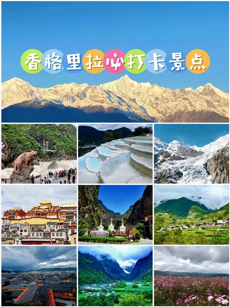云南香格里拉旅游攻略 - 云南香格里拉旅游攻略自由行最佳路线-第7张图片-微云百科 云南香格里拉旅游攻略 - 云南香格里拉旅游攻略自由行最佳路线-第7张图片-微云百科