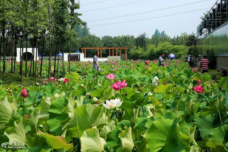 西安市绿色出行活动有哪些,西安文明交通绿色出行-第3张图片-微云百科 西安市绿色出行活动有哪些,西安文明交通绿色出行-第3张图片-微云百科