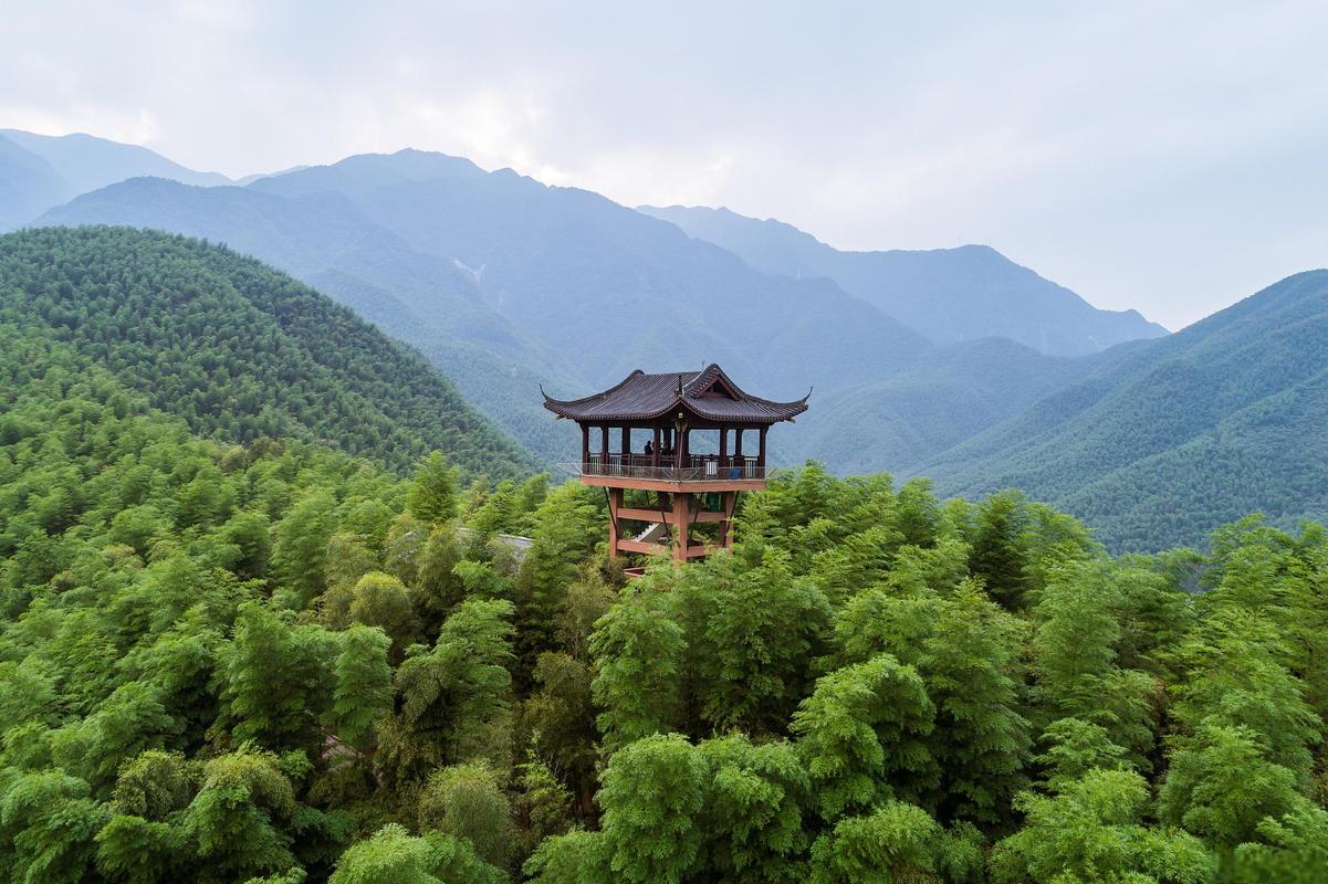 安吉旅游必去景点攻略(安吉必去的旅游景点)-第4张图片-微云百科 安吉旅游必去景点攻略(安吉必去的旅游景点)-第4张图片-微云百科