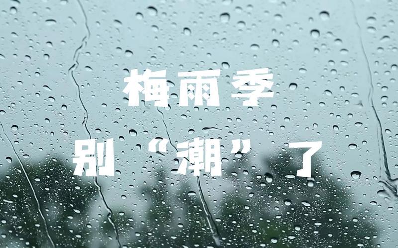 下雨天出行的神器叫什么 - 雨天出行是否不好-第3张图片-微云百科