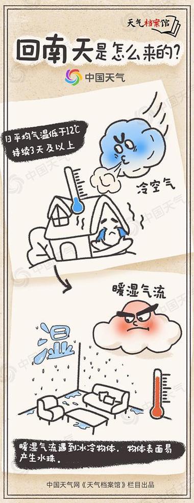 潮湿天气怎么办(潮湿天气注意什么)-第3张图片-微云百科 潮湿天气怎么办(潮湿天气注意什么)-第3张图片-微云百科