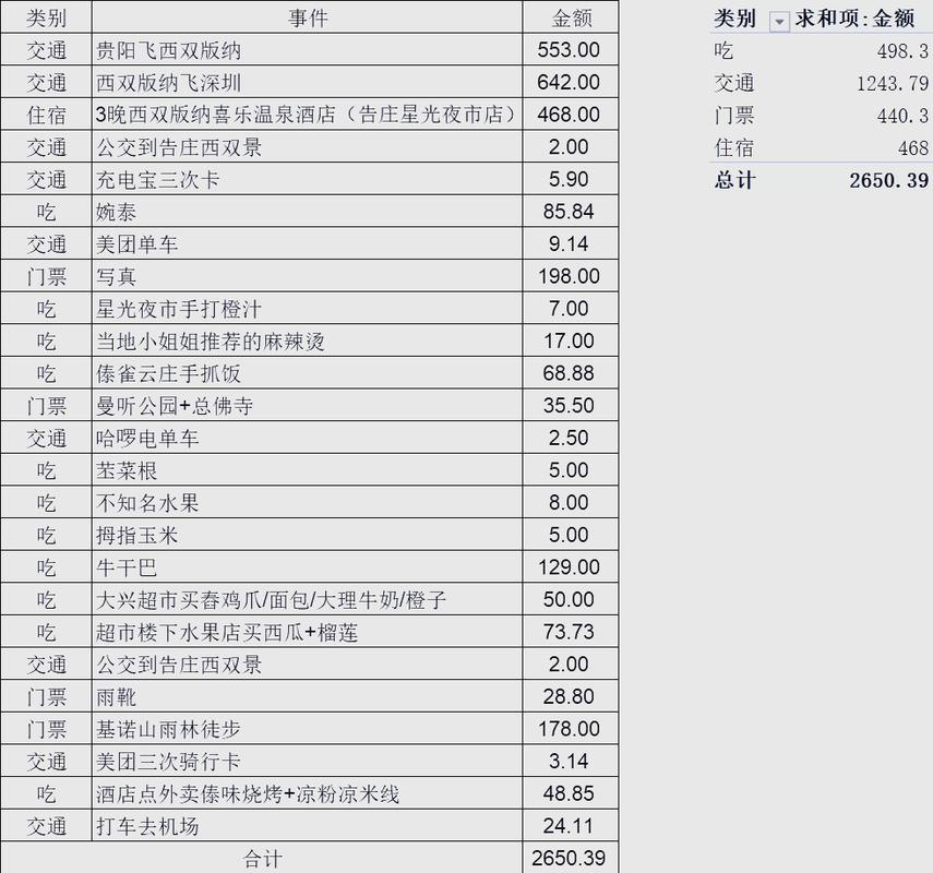 西双版纳面包车出行要求 - 西双版纳的车-第4张图片-微云百科