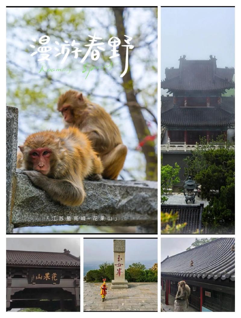 连云港花果山旅游攻略 - 连云港花果山旅游攻略详细-第5张图片-微云百科 连云港花果山旅游攻略 - 连云港花果山旅游攻略详细-第5张图片-微云百科