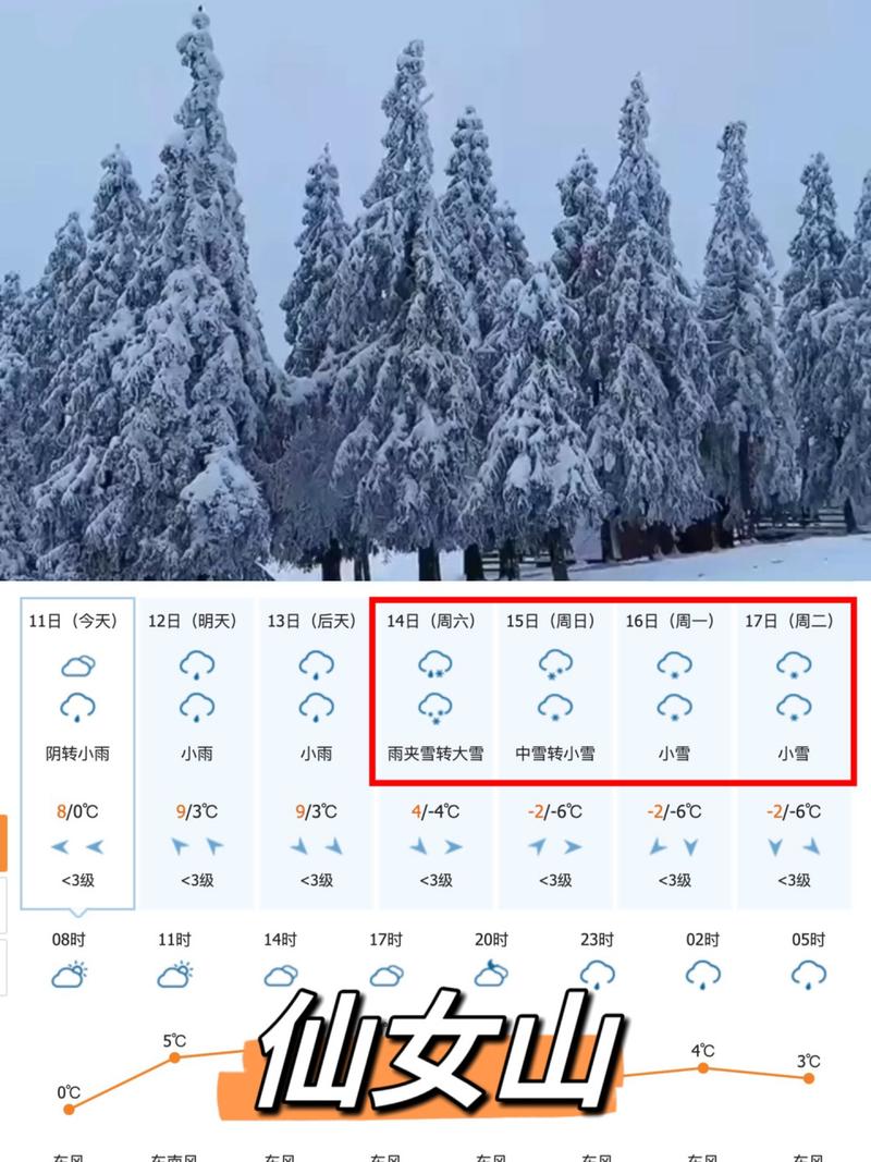 金佛山天气 - 金佛山天气预报7天-第7张图片-微云百科