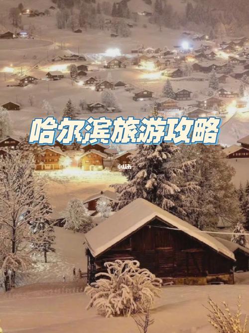 夏天去哈尔滨旅游攻略,夏天哈尔滨旅游攻略自由行最佳线路-第3张图片-微云百科 夏天去哈尔滨旅游攻略,夏天哈尔滨旅游攻略自由行最佳线路-第3张图片-微云百科