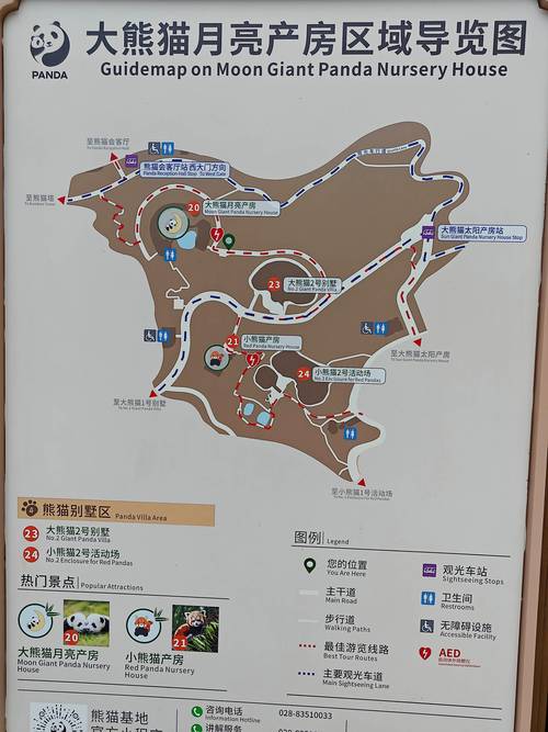 熊猫繁育基地旅游攻略,熊猫繁育基地好玩吗-第4张图片-微云百科 熊猫繁育基地旅游攻略,熊猫繁育基地好玩吗-第4张图片-微云百科