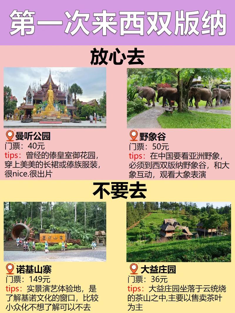 西双版纳可以出行了吗 - 西双版纳可以进吗-第6张图片-微云百科 西双版纳可以出行了吗 - 西双版纳可以进吗-第6张图片-微云百科