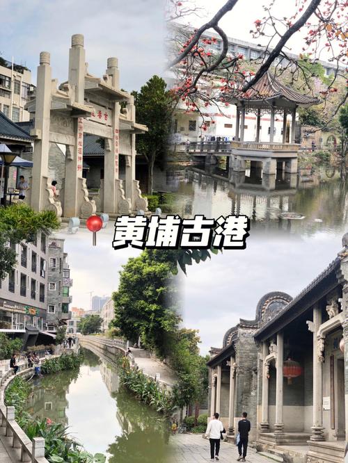 广州黄埔古港旅游攻略（广州黄埔古港旅游攻略路线）-第3张图片-微云百科