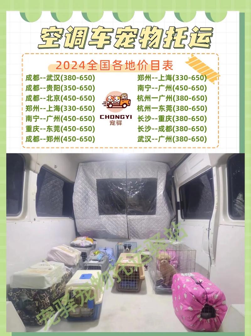 夏季宠物出行包，宠物出行背包-第5张图片-微云百科