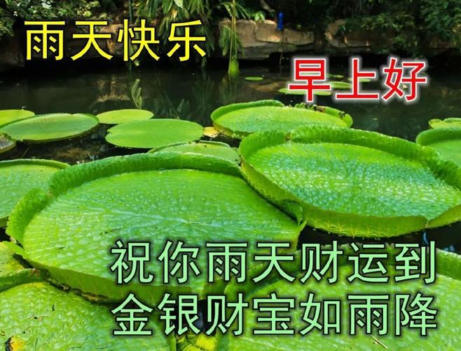 下雨天冷了出行注意安全 - 下雨天出行注意安全的温馨提示-第3张图片-微云百科 下雨天冷了出行注意安全 - 下雨天出行注意安全的温馨提示-第3张图片-微云百科