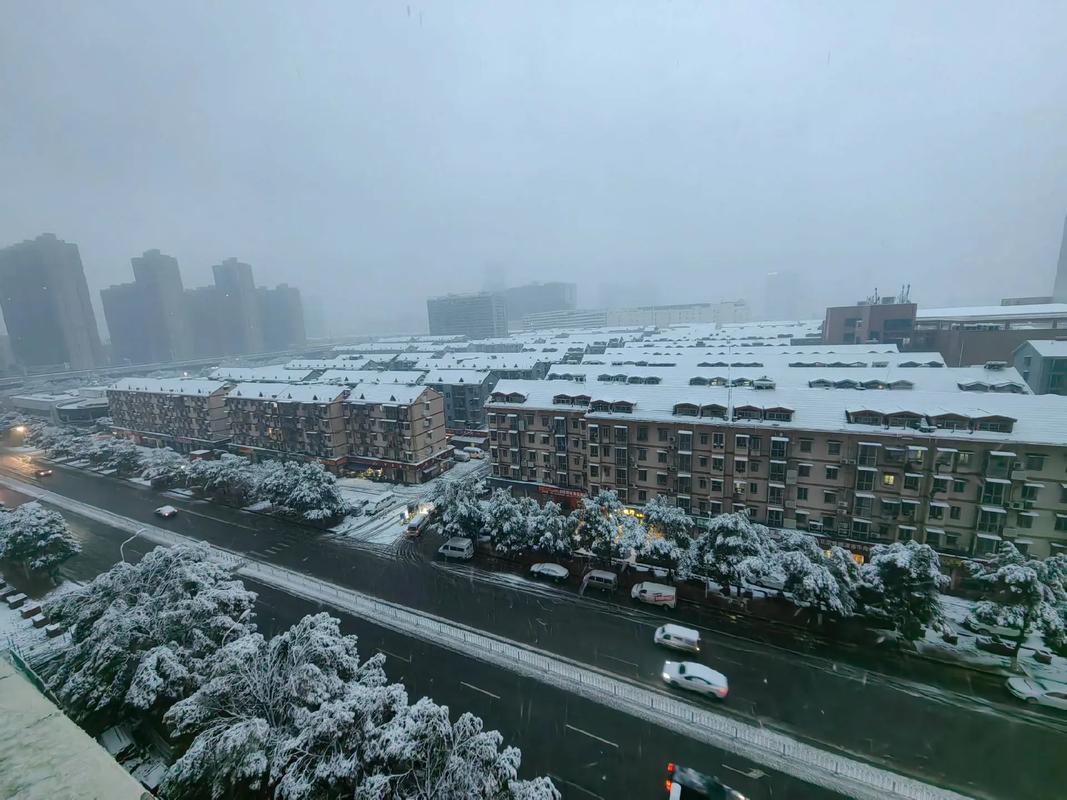 下雪出行还是隔天 - 下雪天出去好吗-第6张图片-微云百科