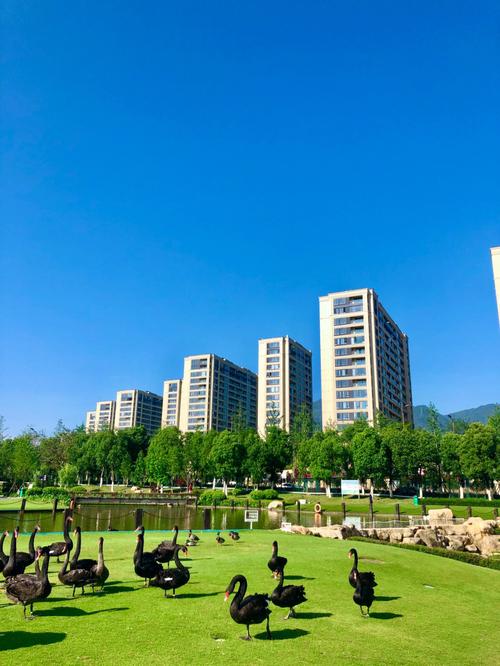 龙岩天气 - 龙岩永定天气-第3张图片-微云百科 龙岩天气 - 龙岩永定天气-第3张图片-微云百科