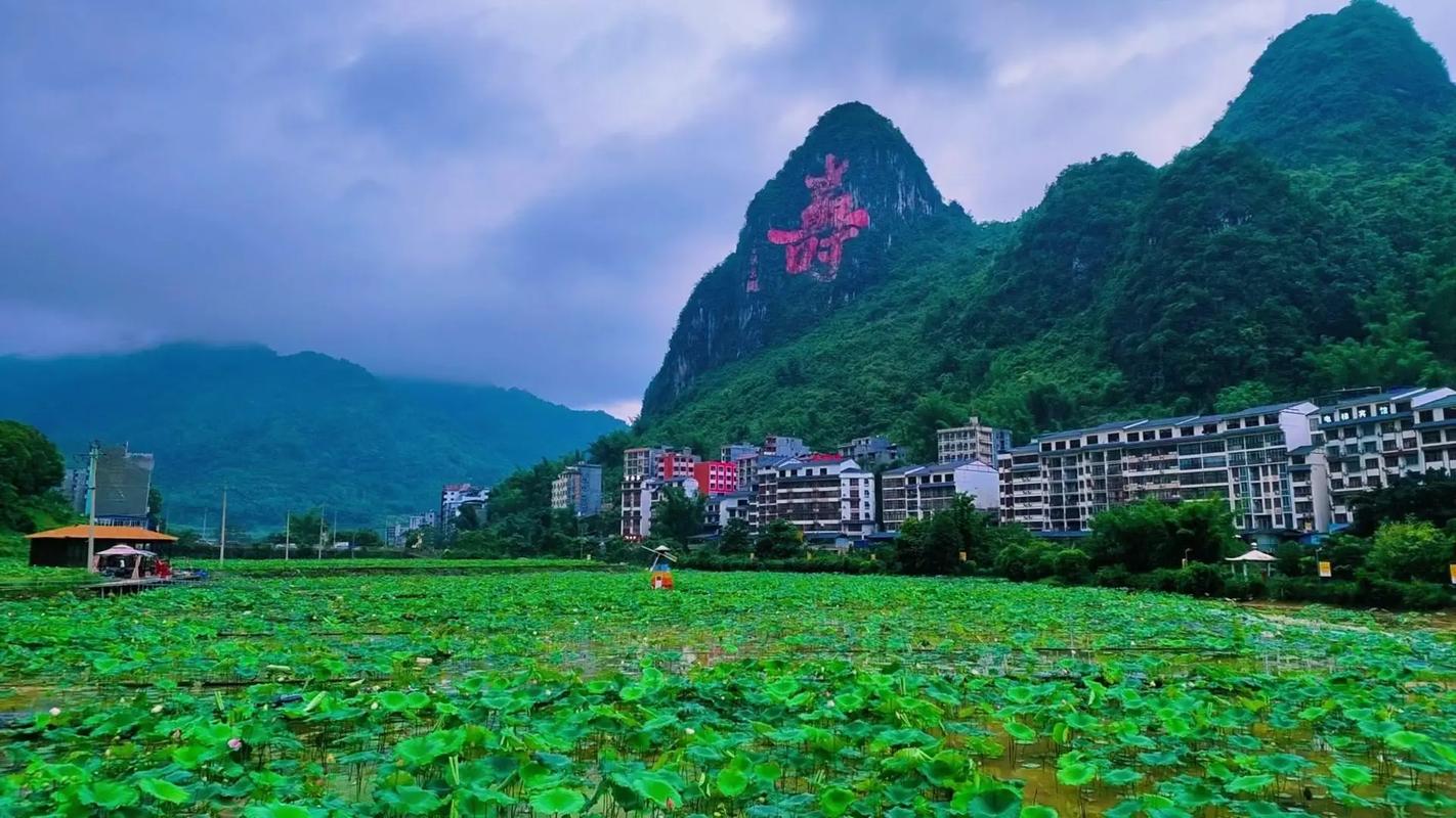 巴马村长寿村旅游攻略（巴马长寿村旅游怎么玩好）-第2张图片-微云百科