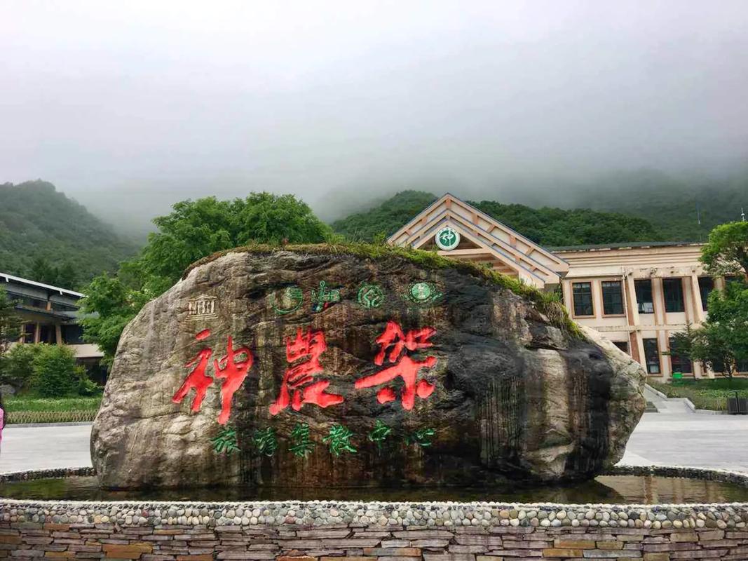 神农架自由行旅游攻略(神农架旅游景点攻略)-第8张图片-微云百科 神农架自由行旅游攻略(神农架旅游景点攻略)-第8张图片-微云百科