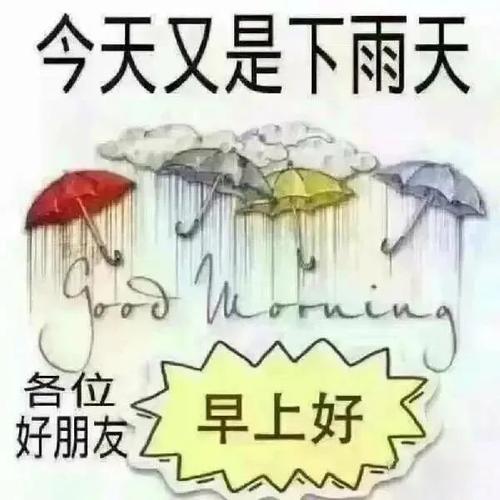 下雨天出行安全照片搞笑(下雨天出行注意安全的问候语)-第6张图片-微云百科 下雨天出行安全照片搞笑(下雨天出行注意安全的问候语)-第6张图片-微云百科