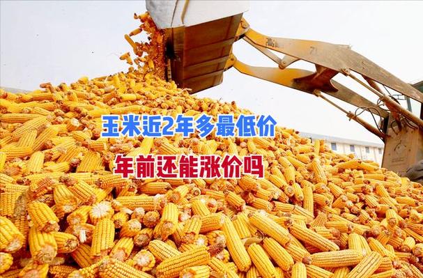 嫩江县天气预报,嫩江县天气预报一周-第3张图片-微云百科 嫩江县天气预报,嫩江县天气预报一周-第3张图片-微云百科