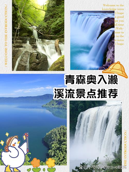 12月去日本旅游攻略 - 日本1月份旅游攻略-第6张图片-微云百科 12月去日本旅游攻略 - 日本1月份旅游攻略-第6张图片-微云百科