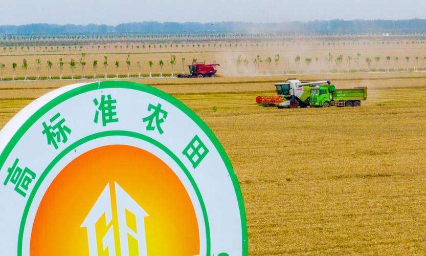 西平出行证明模板 - 出行证明范本-第1张图片-微云百科