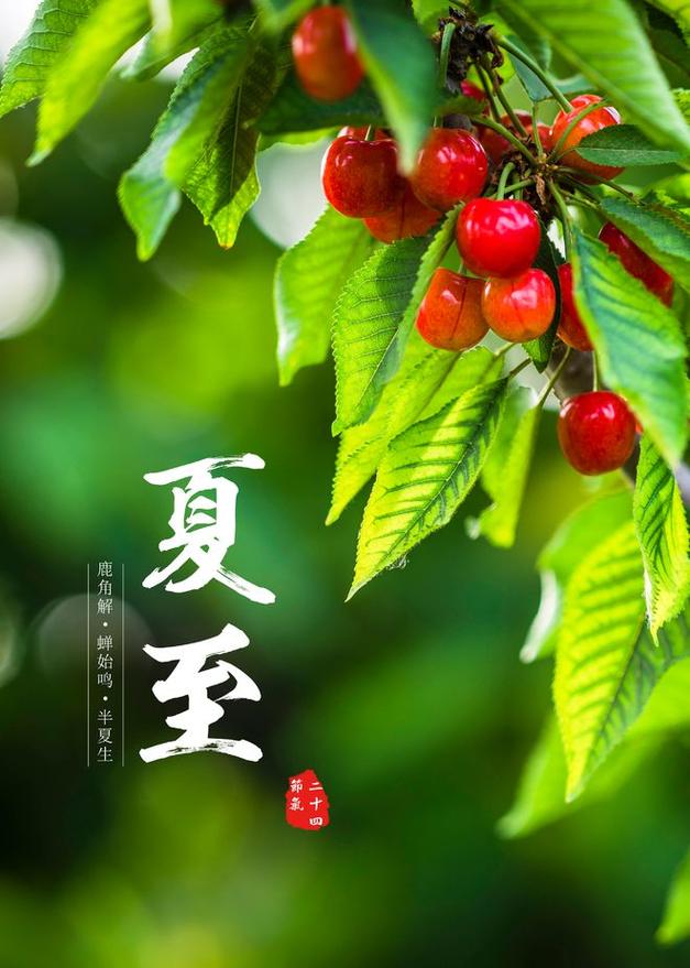 桂阳天气,桂阳天气未来15天冷空气-第5张图片-微云百科 桂阳天气,桂阳天气未来15天冷空气-第5张图片-微云百科