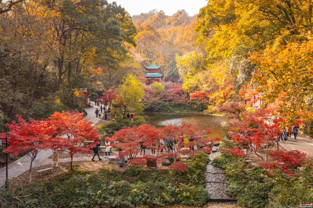 长沙旅游攻略必去景点,长沙有什么好玩的旅游景点-第3张图片-微云百科 长沙旅游攻略必去景点,长沙有什么好玩的旅游景点-第3张图片-微云百科