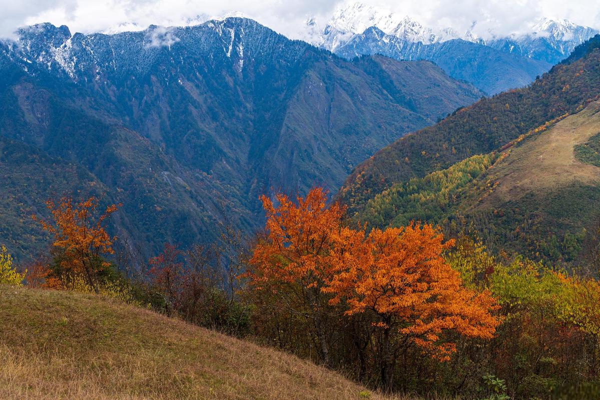 察隅天气 - 察隅察瓦龙天气预报-第2张图片-微云百科 察隅天气 - 察隅察瓦龙天气预报-第2张图片-微云百科