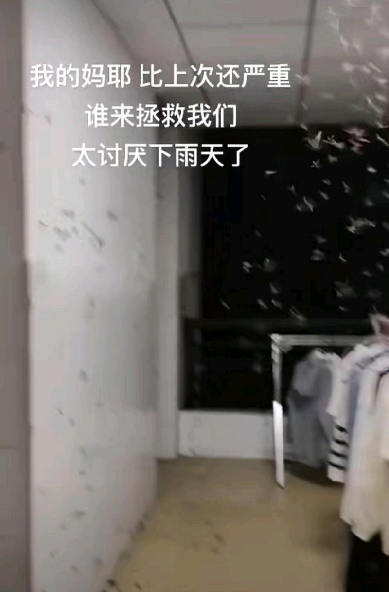 下雨限制了我的出行 - 下雨限号还能开车吗?-第7张图片-微云百科