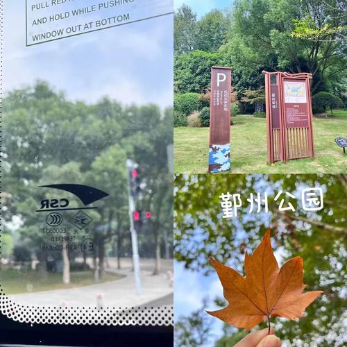 浙江省宁波市鄞州区天气（宁波鄞州区的天气预报）-第8张图片-微云百科