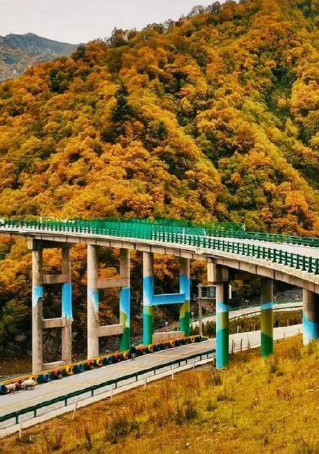 扎鲁特旗天气预报,扎鲁特旗天气预报40天查询结果是什么样的-第4张图片-微云百科 扎鲁特旗天气预报,扎鲁特旗天气预报40天查询结果是什么样的-第4张图片-微云百科