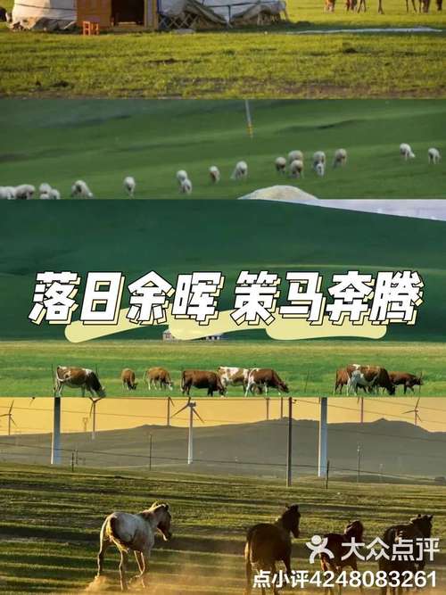 希拉穆仁草原旅游攻略（希拉穆仁草原旅游攻略必玩的景点）-第3张图片-微云百科