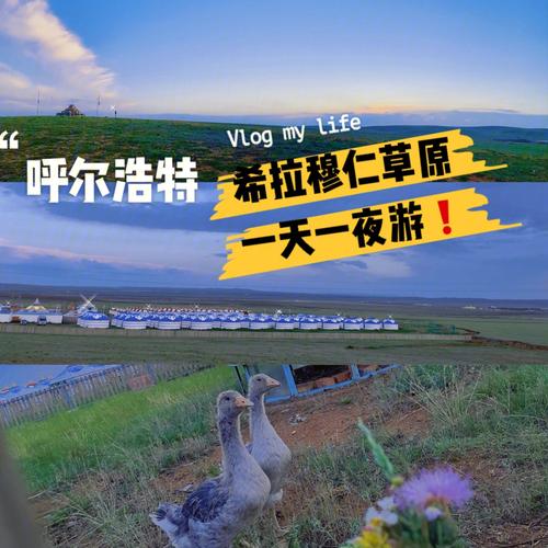 希拉穆仁草原旅游攻略（希拉穆仁草原旅游攻略必玩的景点）-第4张图片-微云百科