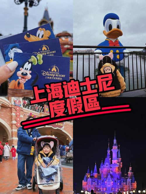 下雨迪士尼出行 - 下雨迪士尼出行好吗-第1张图片-微云百科