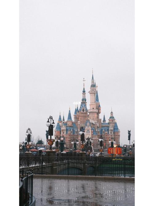 下雨迪士尼出行 - 下雨迪士尼出行好吗-第5张图片-微云百科