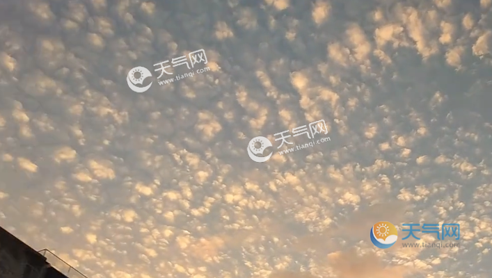 深圳天气微博（深圳天气微博直播）-第5张图片-微云百科