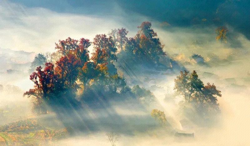 婺源天气（婺女洲天气）-第3张图片-微云百科
