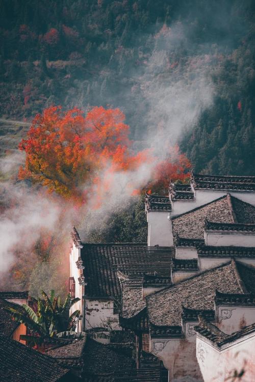 婺源天气（婺女洲天气）-第4张图片-微云百科