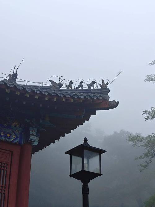 高密市天气预报,高密市天气预报30天天气-第4张图片-微云百科 高密市天气预报,高密市天气预报30天天气-第4张图片-微云百科