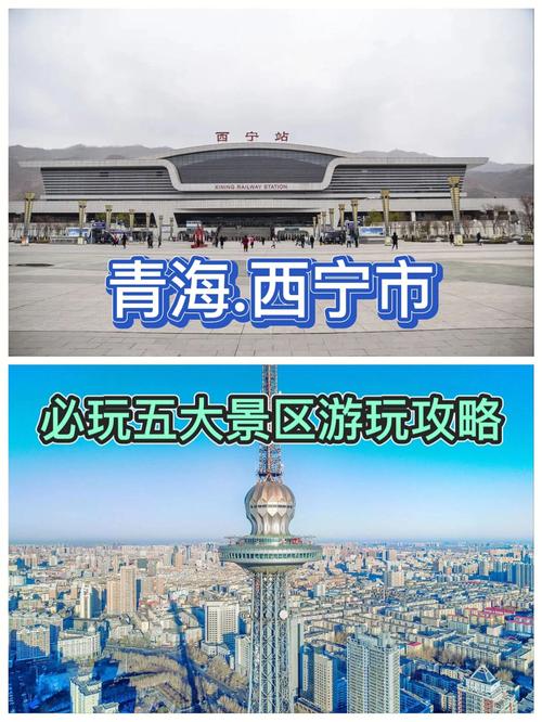 西宁出行最新消息查询（西宁出入政策）-第6张图片-微云百科